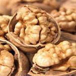 Walnut kernel